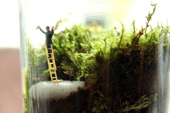 Twig Terrariums, green design, sustainable design, eco design, terrarium guide, photography, Terrarium, tiny world terrariums