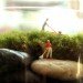 Twig Terrariums, green design, sustainable design, eco design, terrarium guide, photography, Terrarium, tiny world terrariums