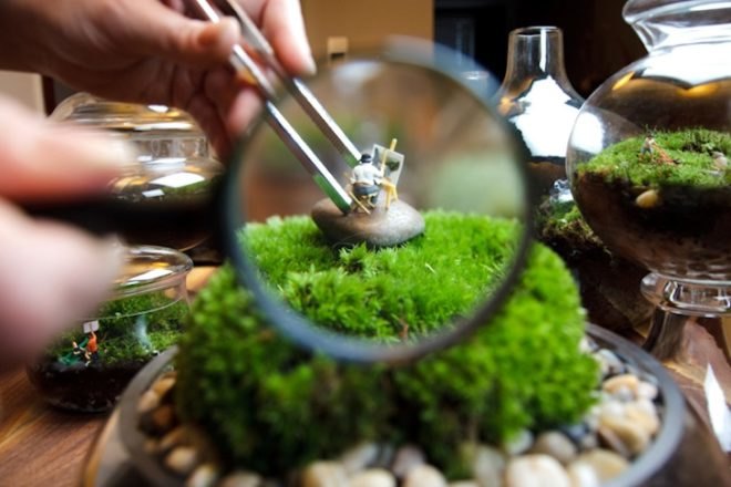 Twig Terrariums, green design, sustainable design, eco design, terrarium guide, photography, Terrarium, tiny world terrariums