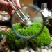 Twig Terrariums, green design, sustainable design, eco design, terrarium guide, photography, Terrarium, tiny world terrariums