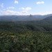 palm oil, oil palm plantation, oil palm environment, indonesia palm oil, peat lands