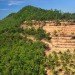 Illegal Logging, Deforestation Risks, Environmental Destruction, Wetlands Degradation, Canopy Loss