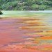 Copper Mine, Water Pollution, Toxic Water, Environmental Destruction, Industrial Pollution, Earth Day