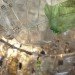 Katharine Harvey, arts brookfield, recycled chandelier, recycled plastic bottles, bottle chandelier, recycled art, green art,