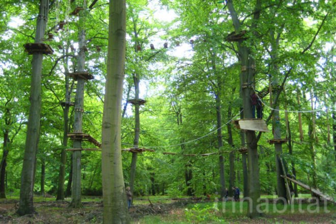 Waldhochseilgarten, Botanical, Zero energy, Landscape Architecture, berlin, Edelrid SmartBelay System, Volkspark Jungfernheide, climbing circuits, harness, treetops