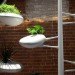 live screen, danielle trofe, wanted design, new york design week, indoor plants, hydroponics, vertical garden