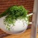 live screen, danielle trofe, wanted design, new york design week, indoor plants, hydroponics, vertical garden