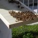 bees in times square, manhattan beehives, Times Square Intercontinental, rooftop gardens, green design, beehives Times Square, honey bees, leed certification