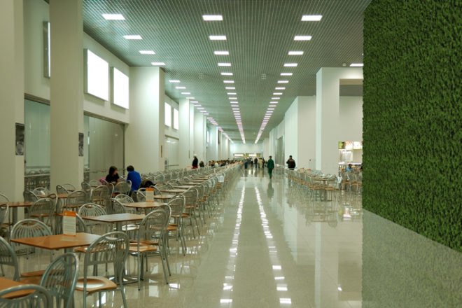 Acoustic Factory, soundproofing, green wall, living wall, recycled materials
