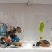 green design, eco design, sustainable design, Yuki Agematsu, recycled art, Real Fine Arts Brooklyn, Nada Art Fair, trash sculpture