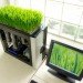 green computing, bio computer, computer plants, mike schropp, total geekdom, green computer plant, computer wheatgrass