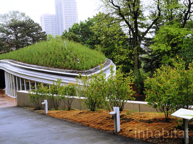 green roof, rooftop garden, living roof, stormwater runoff, urban heat island effect, New York City, insulation, carbon emissions, air pollution, white roofs, New York Times, Columbia University, City University of New York