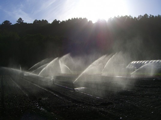 southern california, us drought, drought farming, Research, agriculture, Bridget Scanlon, Bureau of Economic Geology, Central Valley, food production, groundwater depletion, High Plains, irrigation, Jackson School of Geosciences