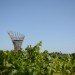 Carlos Jarpa, Vigilante Maule, eco tower, lookout point, chilean architecture, vineyard architecture, Timber Frame Tower, wood structures, eco wood structure, sustainable wood structures, wood lookout points