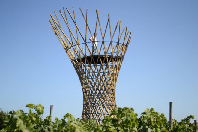 Carlos Jarpa, Vigilante Maule, eco tower, lookout point, chilean architecture, vineyard architecture, Timber Frame Tower, wood structures, eco wood structure, sustainable wood structures, wood lookout points
