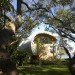 TOTeMS, Casey Guest House, Sarasota Bay, Florida, mangroves, minimalist, green design, sustainable design, eco-design, FEMA, curvilinear design,