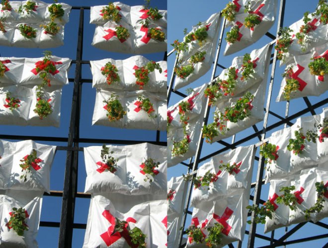green design, eco design, sustainable design, Socrates Sculpture Park, Natalie Jeremijenko, Long Island city, urban Farming, AgBags, xDesign Environmental Health Clinic at NYU, Mary Miss, Rikrit Tiravanija, George Trakas
