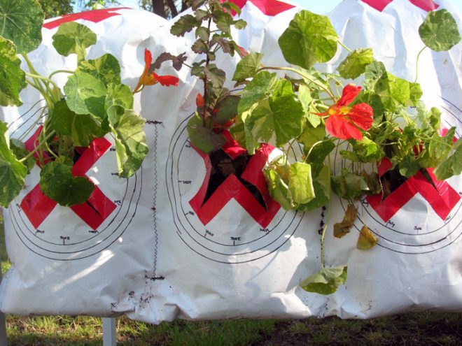 green design, eco design, sustainable design, Socrates Sculpture Park, Natalie Jeremijenko, Long Island city, urban Farming, AgBags, xDesign Environmental Health Clinic at NYU, Mary Miss, Rikrit Tiravanija, George Trakas