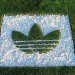green design, eco design, sustainable design, CURB advertising, sustainable advertising, living ads, reverse graffiti, moss art, moss graffiti, LoGrow, snow stamping, sea stamping, advertising alternatives, eco art