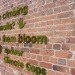 green design, eco design, sustainable design, CURB advertising, sustainable advertising, living ads, reverse graffiti, moss art, moss graffiti, LoGrow, snow stamping, sea stamping, advertising alternatives, eco art