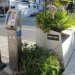 parklet, san francisco, rebar, parking day, public space, urban innovation, reclaimed space, urbanism, public art, architecture
