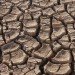 southern california, us drought, drought farming, Research, agriculture, Bridget Scanlon, Bureau of Economic Geology, Central Valley, food production, groundwater depletion, High Plains, irrigation, Jackson School of Geosciences