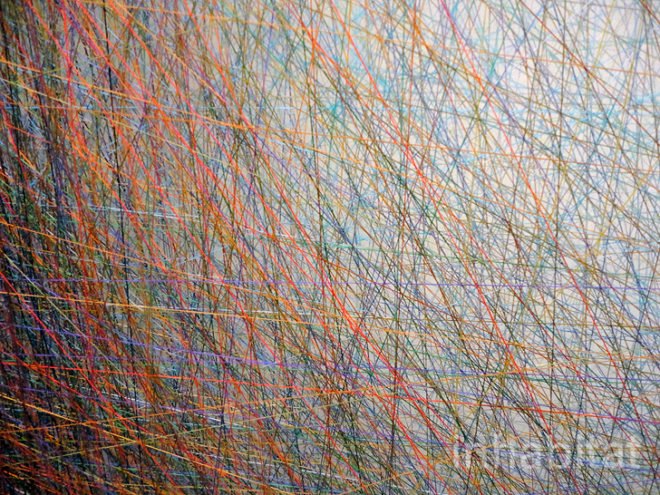 green design, eco design, sustainable design, Emil Lukas, Sperone Westwater Art Gallery, thread art, string art, eco-art