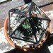 green design, eco design, sustainable design, terrarium, halona glass, stained glass, geodesic terrarium, urban gardening, indoor gardening