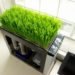 green computing, bio computer, computer plants, mike schropp, total geekdom, green computer plant, computer wheatgrass