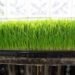 green computing, bio computer, computer plants, mike schropp, total geekdom, green computer plant, computer wheatgrass
