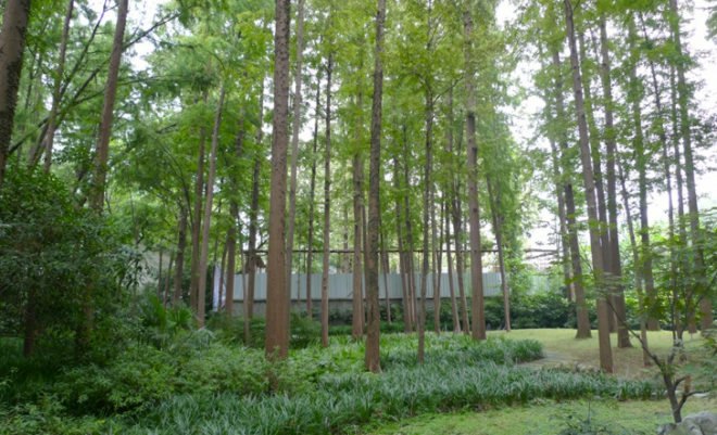 art venue, LYCS Architecture, chinese architecture, art museums, green art center, eco art center, sustainable building, nature and architecture, sustainable architecture, Spruce art center