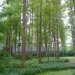 art venue, LYCS Architecture, chinese architecture, art museums, green art center, eco art center, sustainable building, nature and architecture, sustainable architecture, Spruce art center
