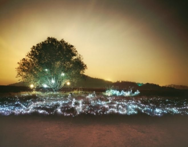 Lee Eunyeol, starry night, landscape photography, light installations, green art, landscape art, environmental photography