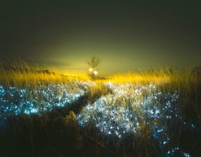 Lee Eunyeol, starry night, landscape photography, light installations, green art, landscape art, environmental photography