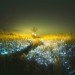 Lee Eunyeol, starry night, landscape photography, light installations, green art, landscape art, environmental photography