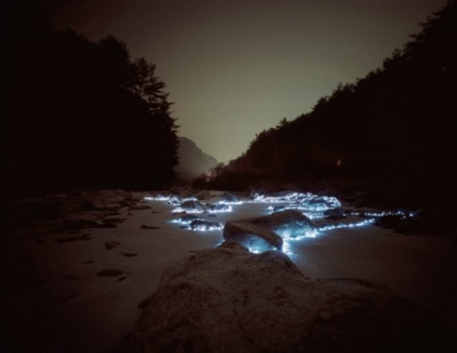 Lee Eunyeol, starry night, landscape photography, light installations, green art, landscape art, environmental photography