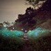 Lee Eunyeol, starry night, landscape photography, light installations, green art, landscape art, environmental photography