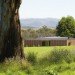 Narbethong Community Hall, BVN Architecture, fire-proof building, disaster-proof design, australia, community hall