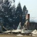 Narbethong Community Hall, BVN Architecture, fire-proof building, disaster-proof design, australia, community hall