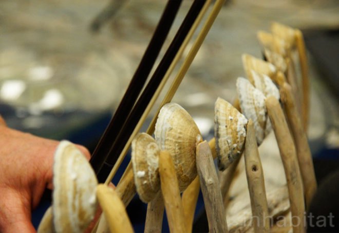 Antarctic recordings,natural instruments, music performance, antarctic,"music experience", instruments found in nature, Arctic recordings, NSF artists,