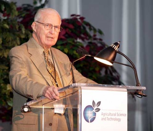 Rothamsted Research, Take The Flour Back, Rothamsted Research wheat, GM wheat, dwarf wheat, norman borlaug, Rothamsted Research protests, Rothamsted Research Take the Flour Back, Rothamsted Research gm wheat risk, gm wheat aphids