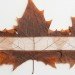 green design, eco design, sustainable design, Owen Mortensen, leaf collecting, leaf collage, Selectively Skeletonized Sycamores, recycled art, organic art, indoor garden, bamboo art, flower art