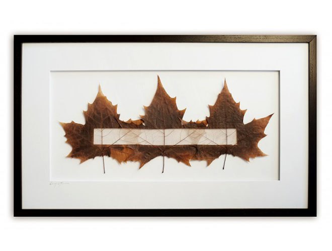 green design, eco design, sustainable design, Owen Mortensen, leaf collecting, leaf collage, Selectively Skeletonized Sycamores, recycled art, organic art, indoor garden, bamboo art, flower art