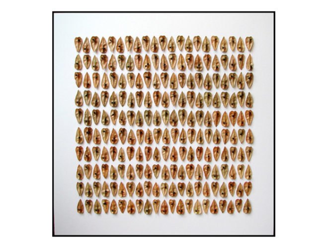 green design, eco design, sustainable design, Owen Mortensen, leaf collecting, leaf collage, Selectively Skeletonized Sycamores, recycled art, organic art, indoor garden, bamboo art, flower art