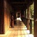 green design, eco design, sustainable design, sustainable tourism, Peru tourism, Posada Amazonas, Rainforest Alliance, eco-resort, eco-lodge, Amazon resort