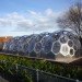 N55, Anne Romme, Denmark, Bristol, greenhouse, geodesic dome, South Bristol Skills Academy, UK, Bristol, green design, prefabricated design, modular design, eco-design, biomimicry, sea urchin, architecture, urban farming