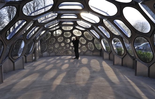 N55, Anne Romme, Denmark, Bristol, greenhouse, geodesic dome, South Bristol Skills Academy, UK, Bristol, green design, prefabricated design, modular design, eco-design, biomimicry, sea urchin, architecture, urban farming