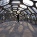 N55, Anne Romme, Denmark, Bristol, greenhouse, geodesic dome, South Bristol Skills Academy, UK, Bristol, green design, prefabricated design, modular design, eco-design, biomimicry, sea urchin, architecture, urban farming