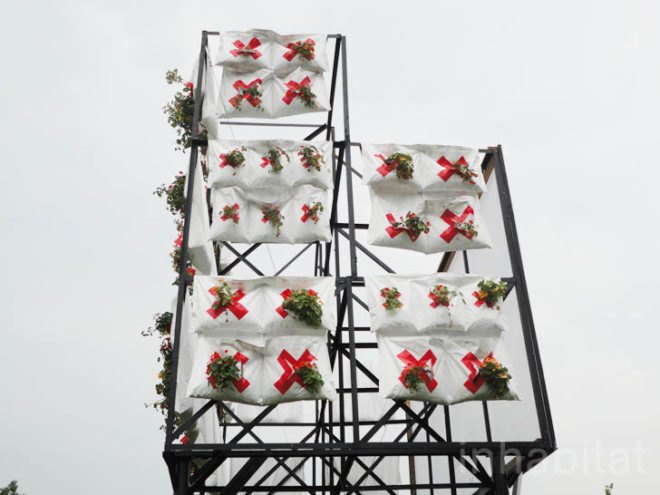 green design, eco design, sustainable design, Socrates Sculpture Park, AgBags, Vertical Farming, GrowNYC, urban farm, Long Island City, Natalie Jeremijenko, Farmacy