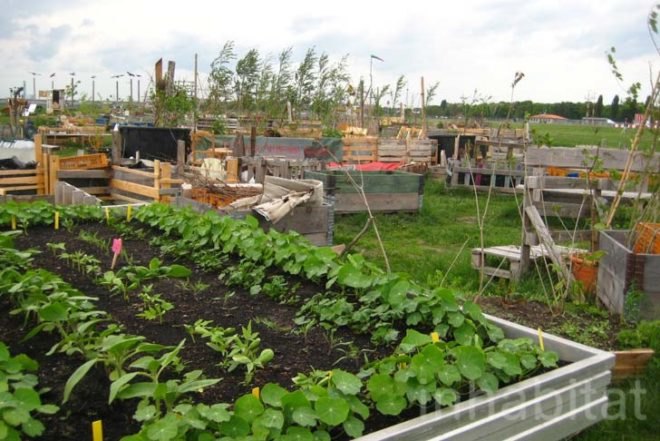 Stadtteilgarten Schillerkiez, Tempelhof airport, berlin, community gardens, food, growing food, mobile garden, abandoned airport, people initiatives, recycled pallets, recycled matrials, social design, Urban design, Sustainable Food, Architecture, green furniture, Botanical, diy, Gardening, Recycled Materials, Recycling / Compost